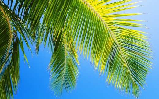 798916 (a): :2560x1600